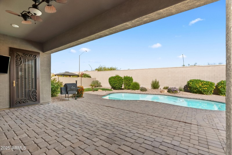 36-20251108-DSC09321