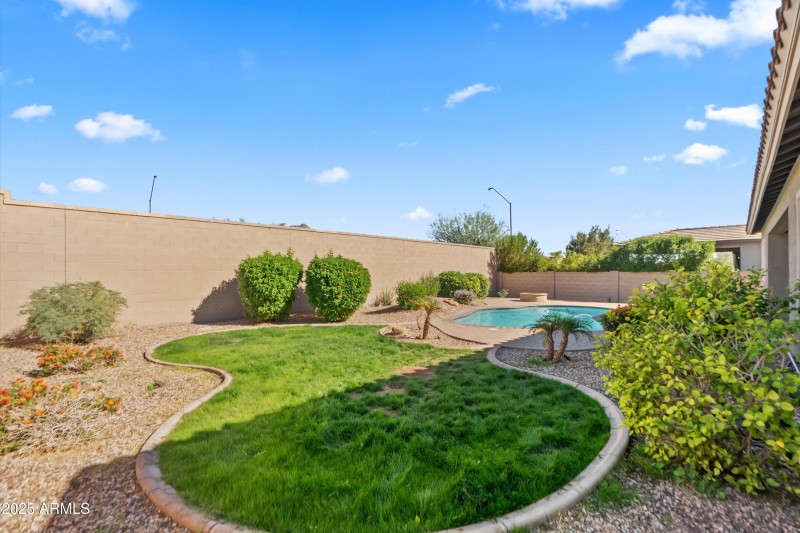 45-20251108-DSC09348