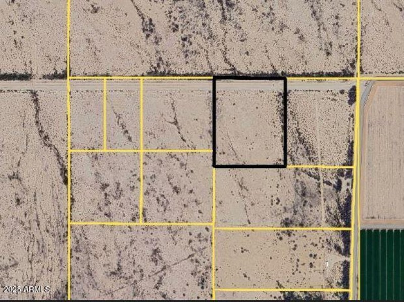 high contrast lines-1