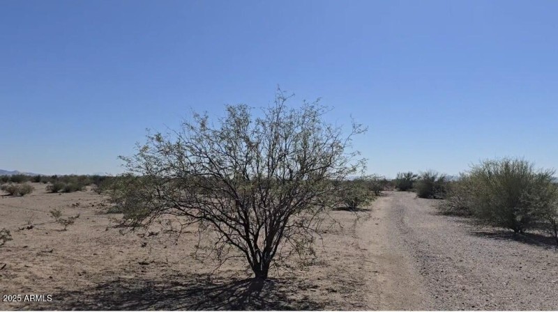 Screenshot_20251110_200353_Gallery