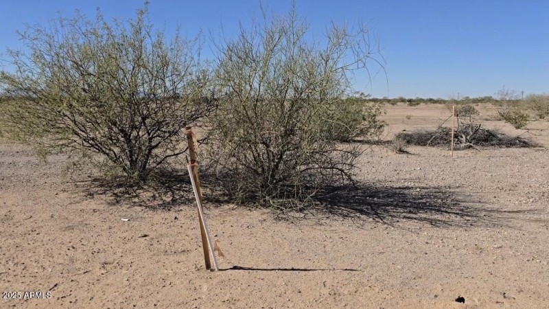 Screenshot_20251110_200514_Gallery