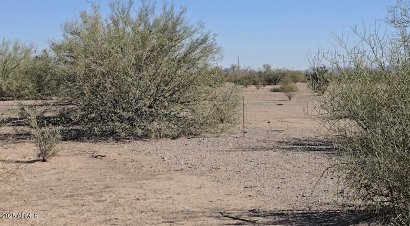 Screenshot_20251110_200526_Gallery