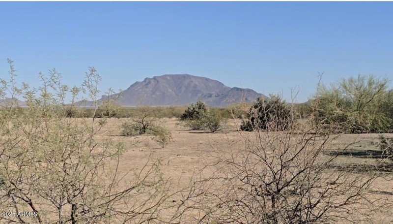 Screenshot_20251110_200530_Gallery