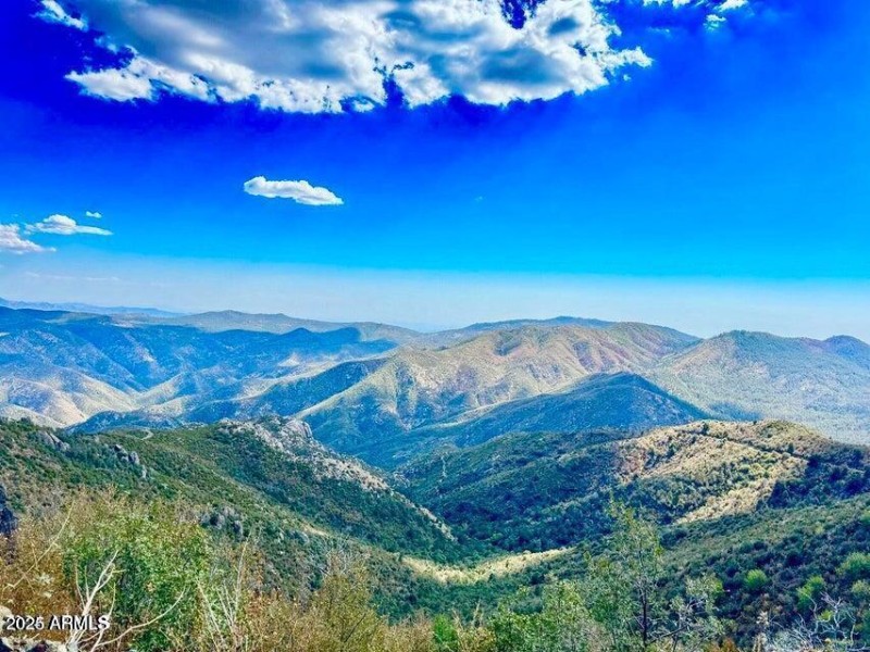 20250405074838411596000000-o (1)