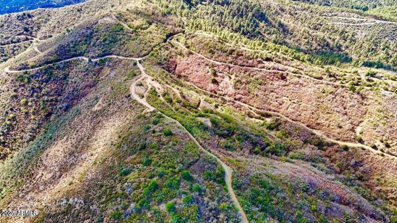 20250405075342903456000000-o (1)