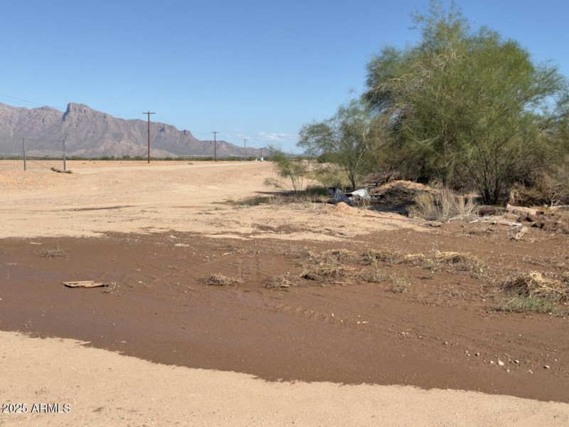 Copy of ground images - 23 of 32