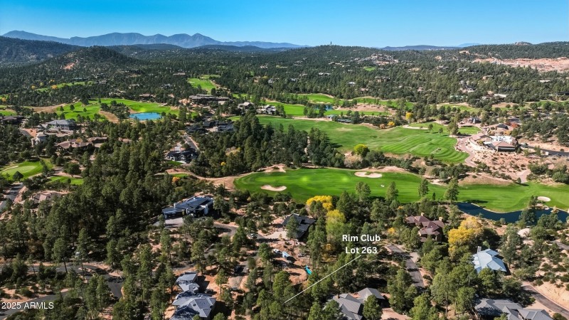 11_rim club lot 263 (4)