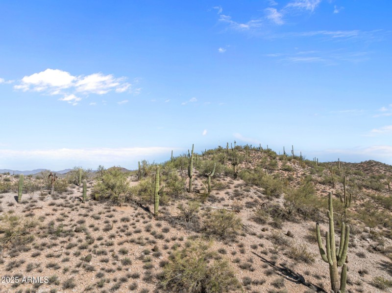 Majestic Saguaro hillsides