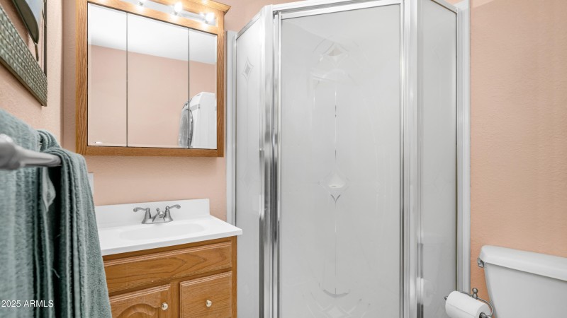 3710 S Goldfield Rd Lot 167 (19)