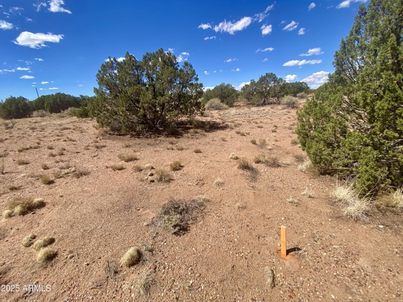 5) 65267-6915e71eb06f6