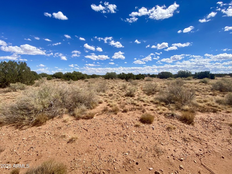 16) 65267-6915e71d3d07c