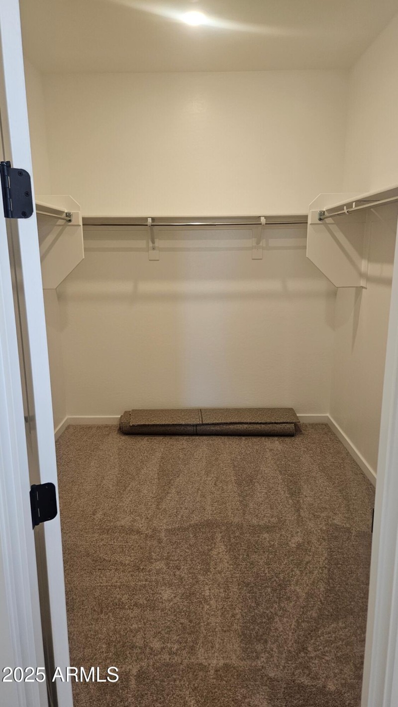 Mason Ranch II Lot 225 Primary Closet