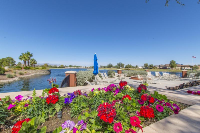 44 Flower Beside Lake