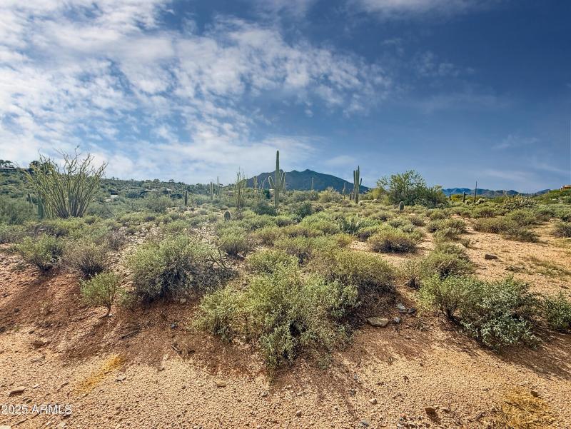 91562c0986b57c455a196e8c0418e4abc1bca11e