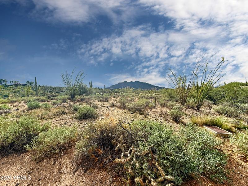 Expansive Desert Setting with Views