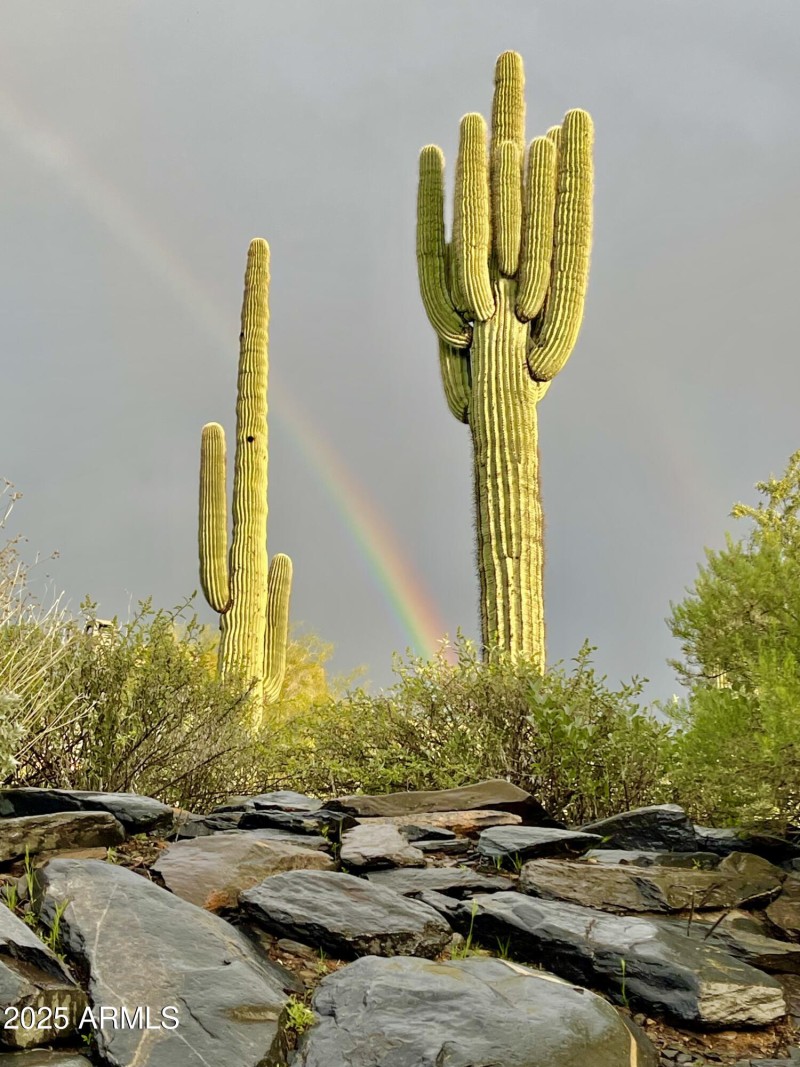 Owner Provided Photo