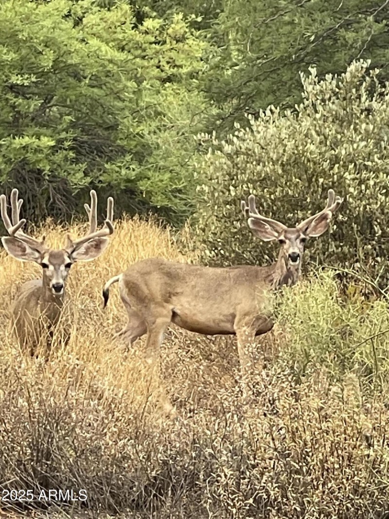 Owner Provided Photo