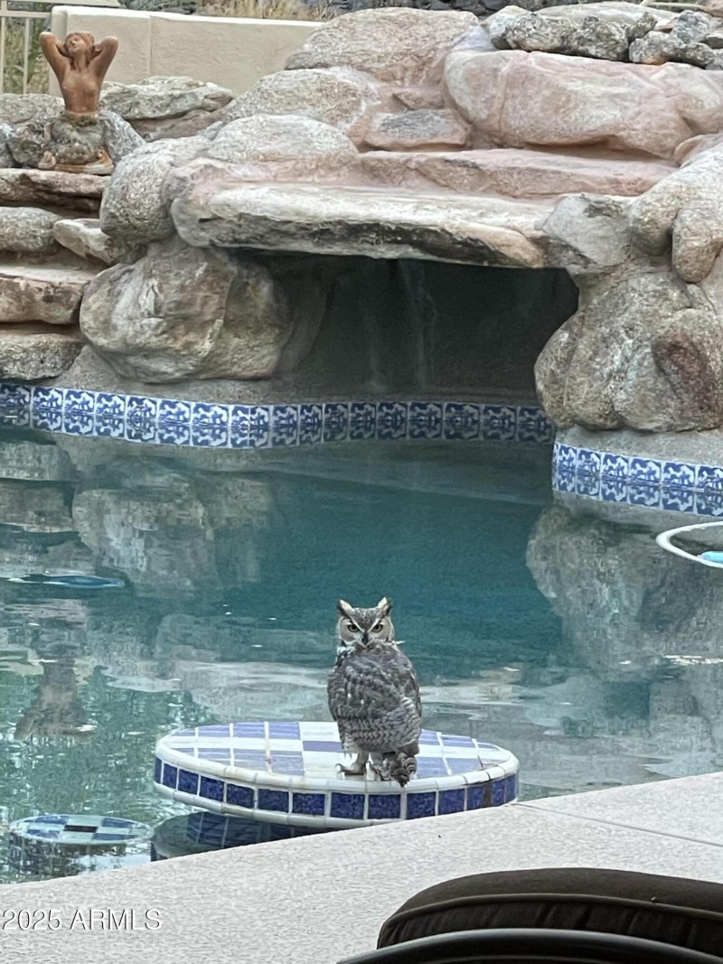 Owner Provided Photo