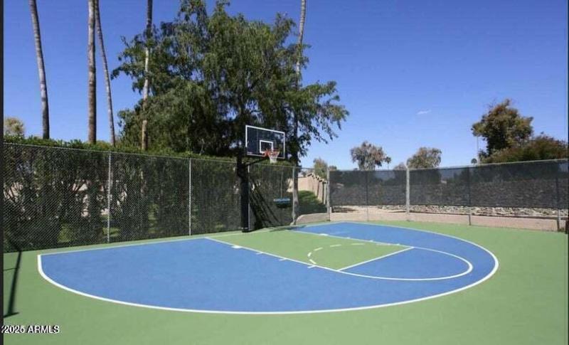 Basketball court