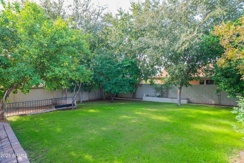 craigrootimaging_33-15