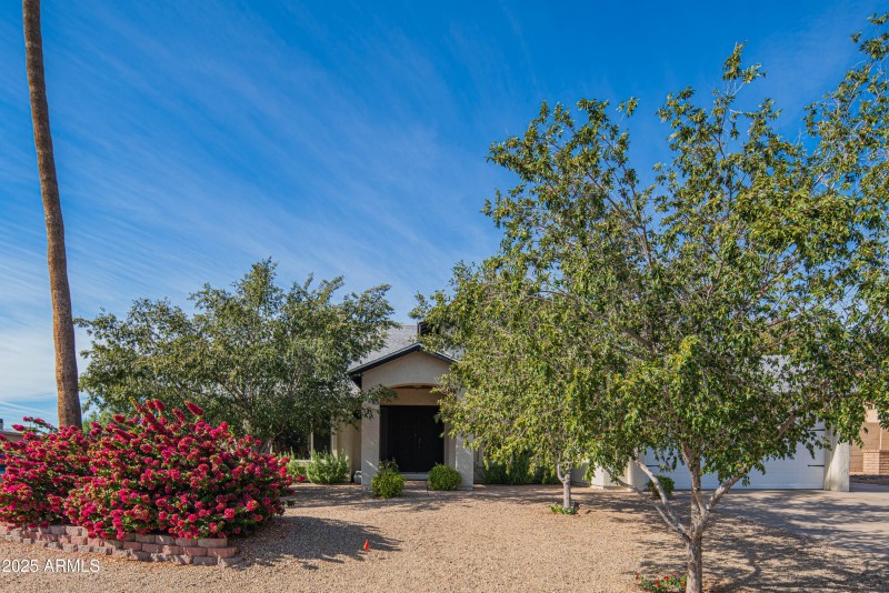 craigrootimaging_33-3