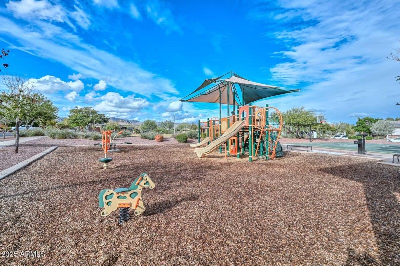 Community Park-Playground