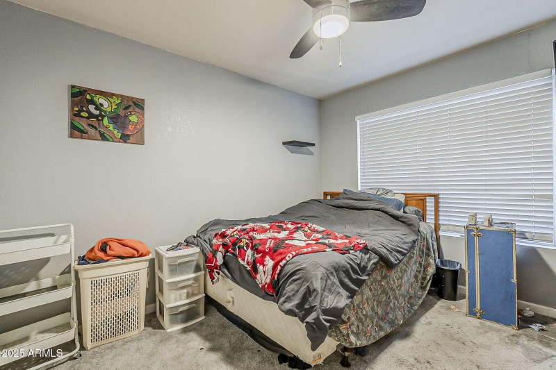 15-web-or-mls-41st-15