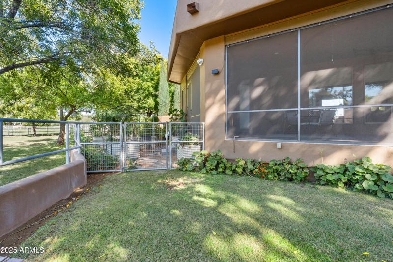 Main House Backyard-3