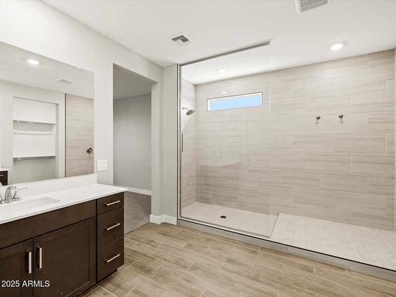 Primary Bath View 2 Spa Shower