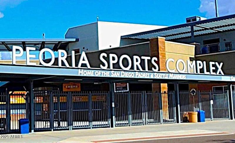 Spring Training, San Diego Padres & Seat