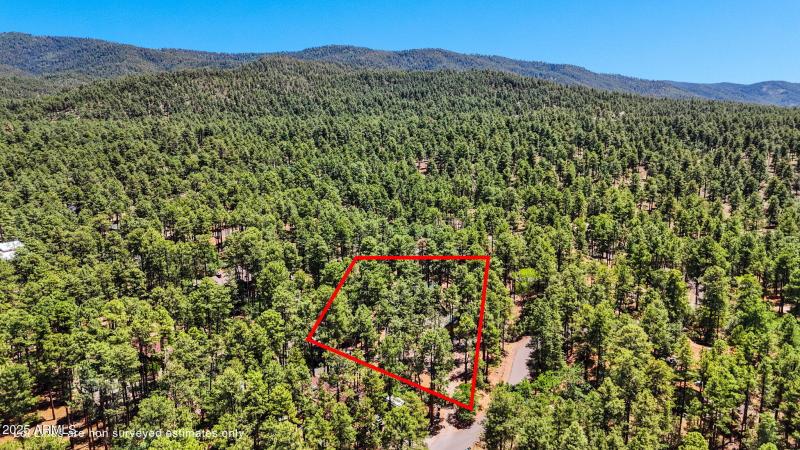 41-Aerial (1) Lot Lines