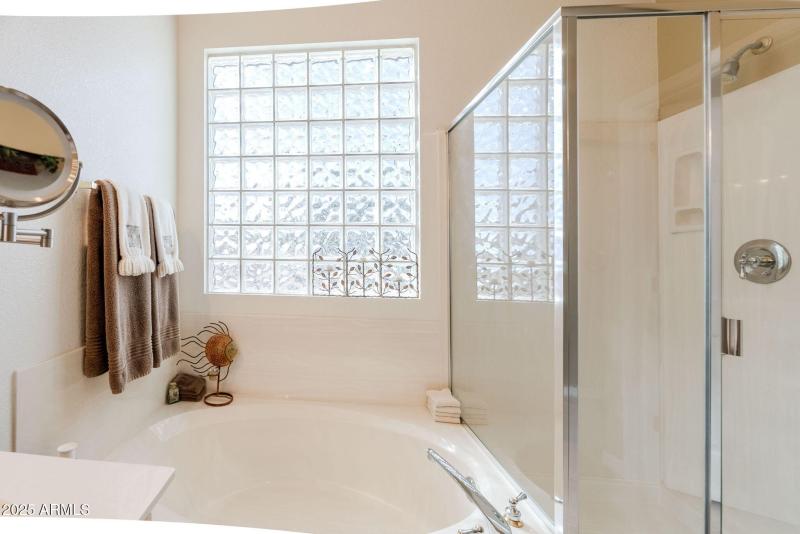 40-web-or-mls-Staghorn Cholla-40