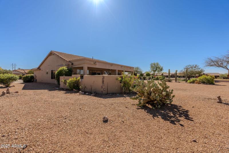 82-web-or-mls-Staghorn Cholla-82