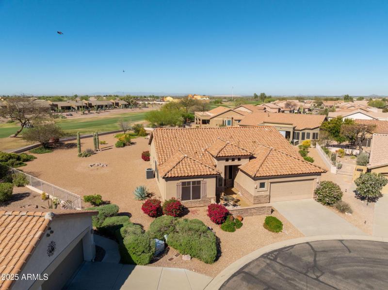 85-web-or-mls-Staghorn Cholla-85