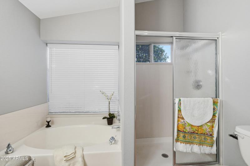 Owner's Suite Bathroom