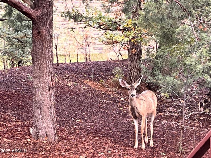 5410 N SAINT ANDREWS DR, Lakeside