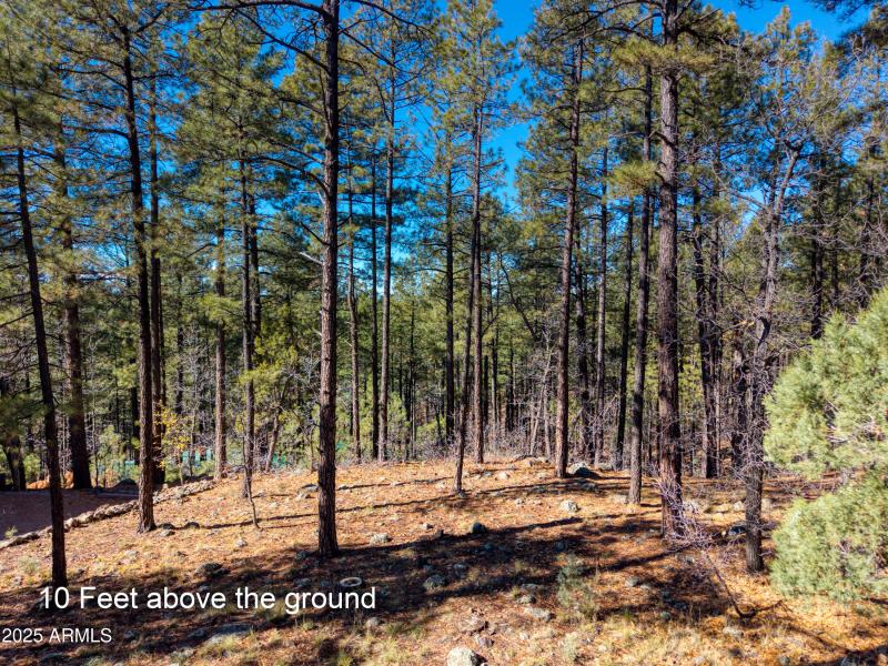 2189 Creekside Court, Pinetop, AZ