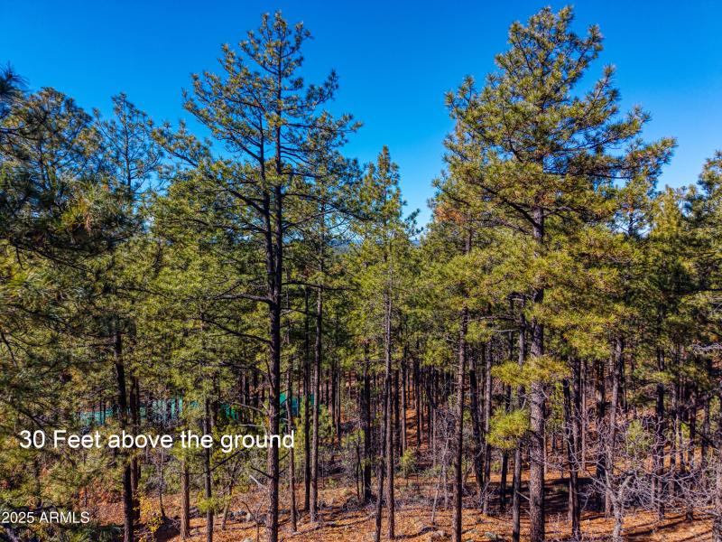 2189 Creekside Court, Pinetop, AZ