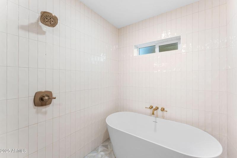 Primary Shower and Bath