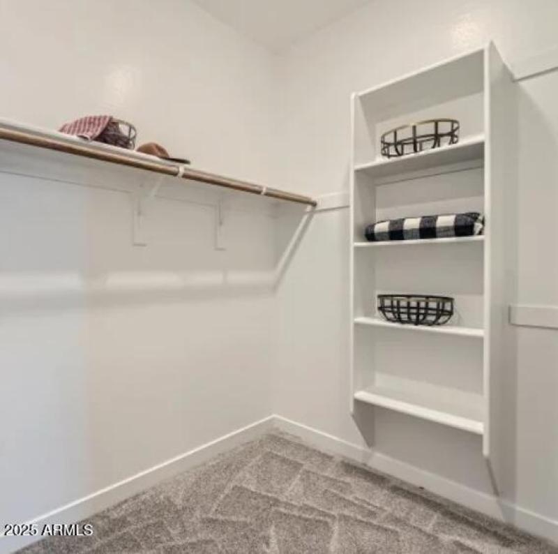 Owners Walk in Closet