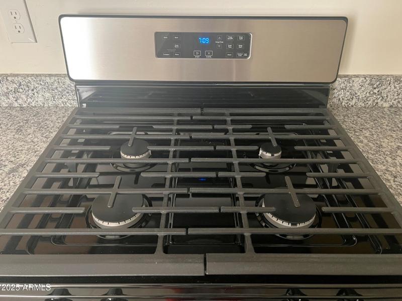 Gas oven