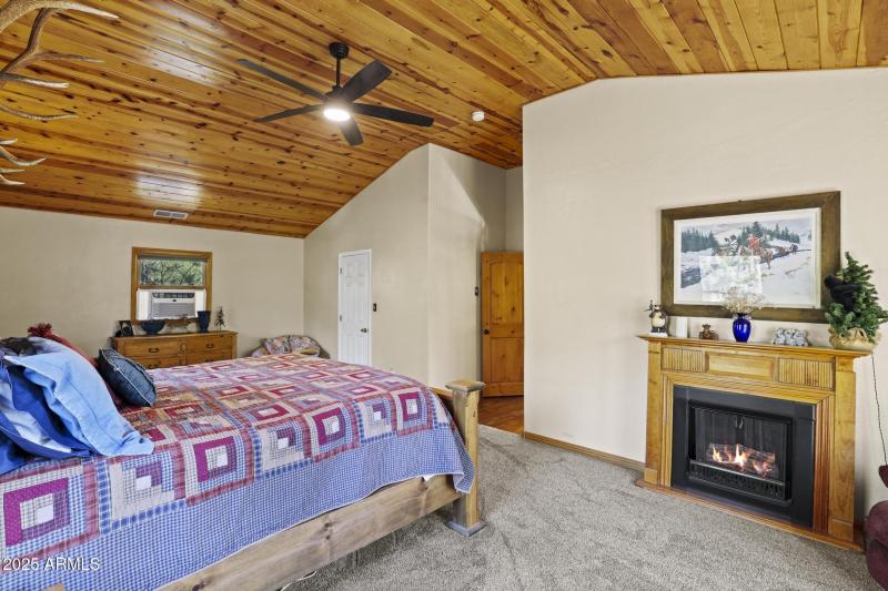 Master electric fireplace