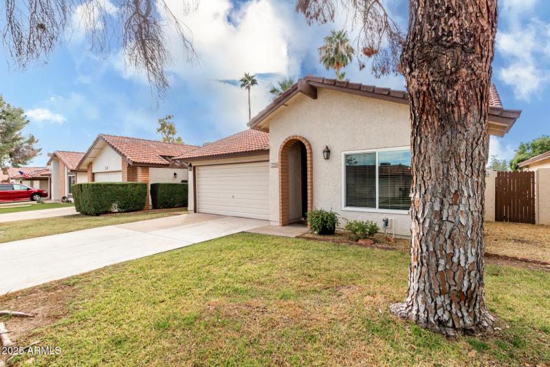 HOA maintains front yard