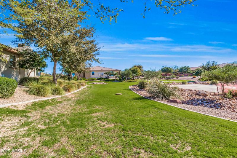 35964 N Desert Tea Dr-37