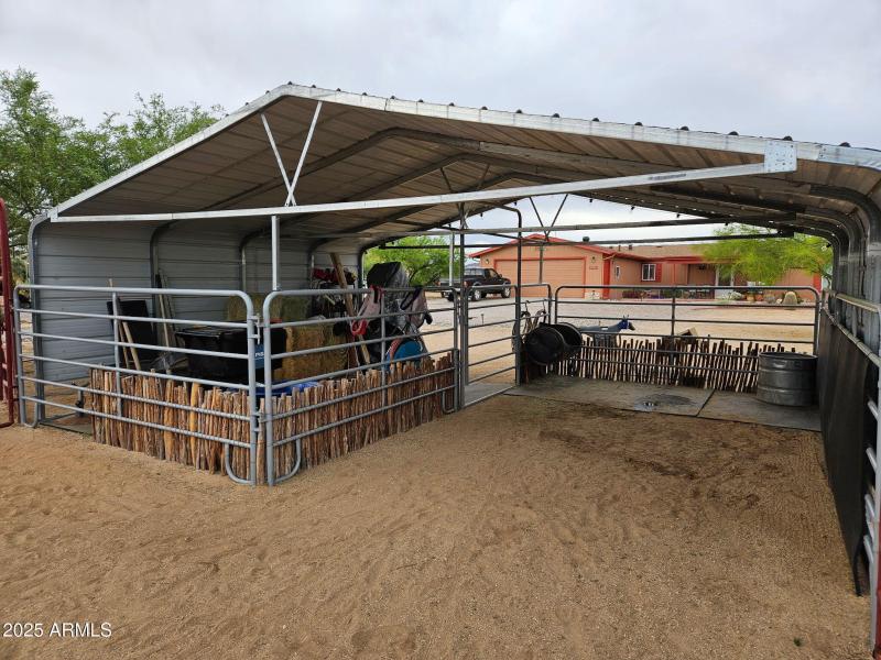 3385481656833238820 (1)