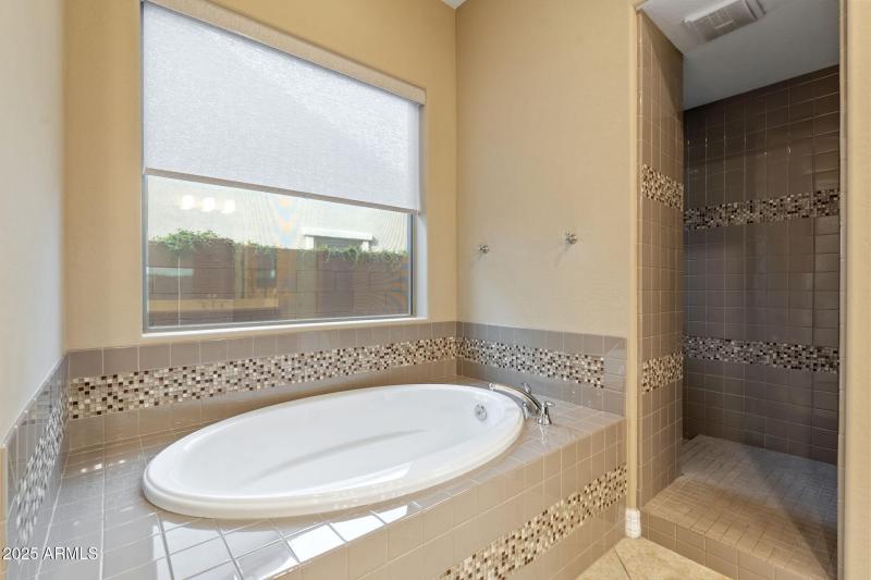 Soaking tub and walk in shower