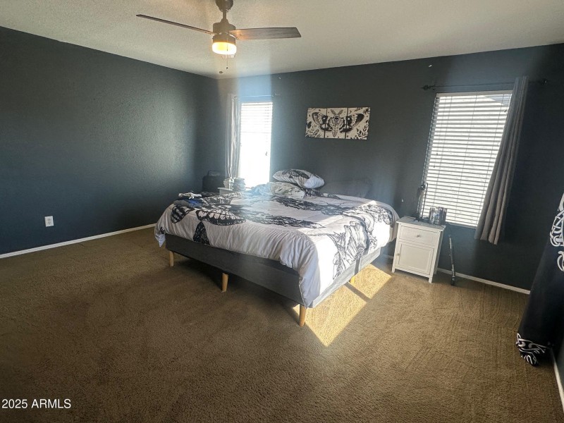 Meadow Lark Primary 1