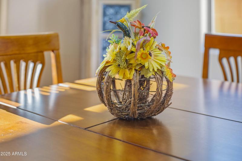 42812 W Martie Lynn Rd-13