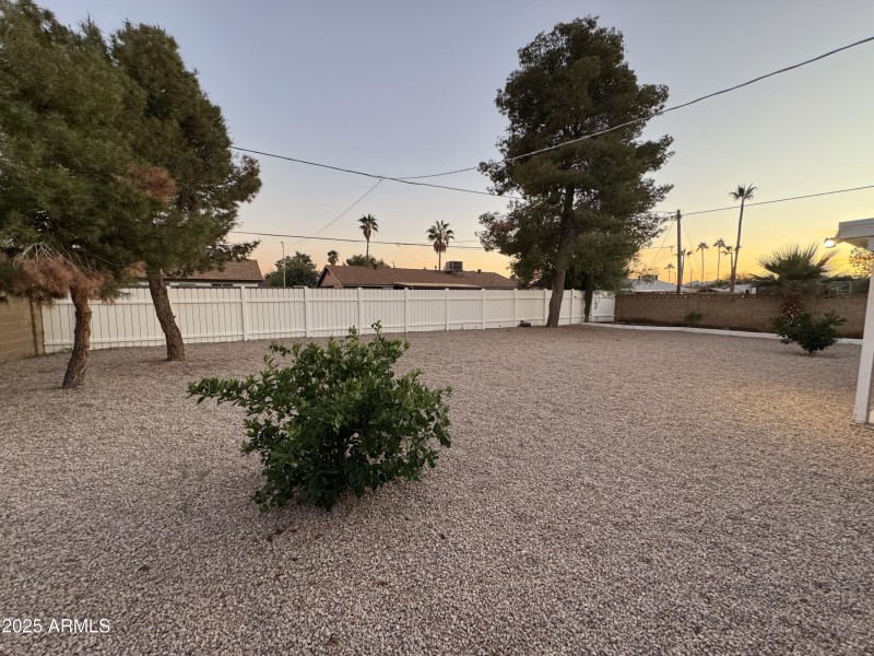 sharon dr photo back