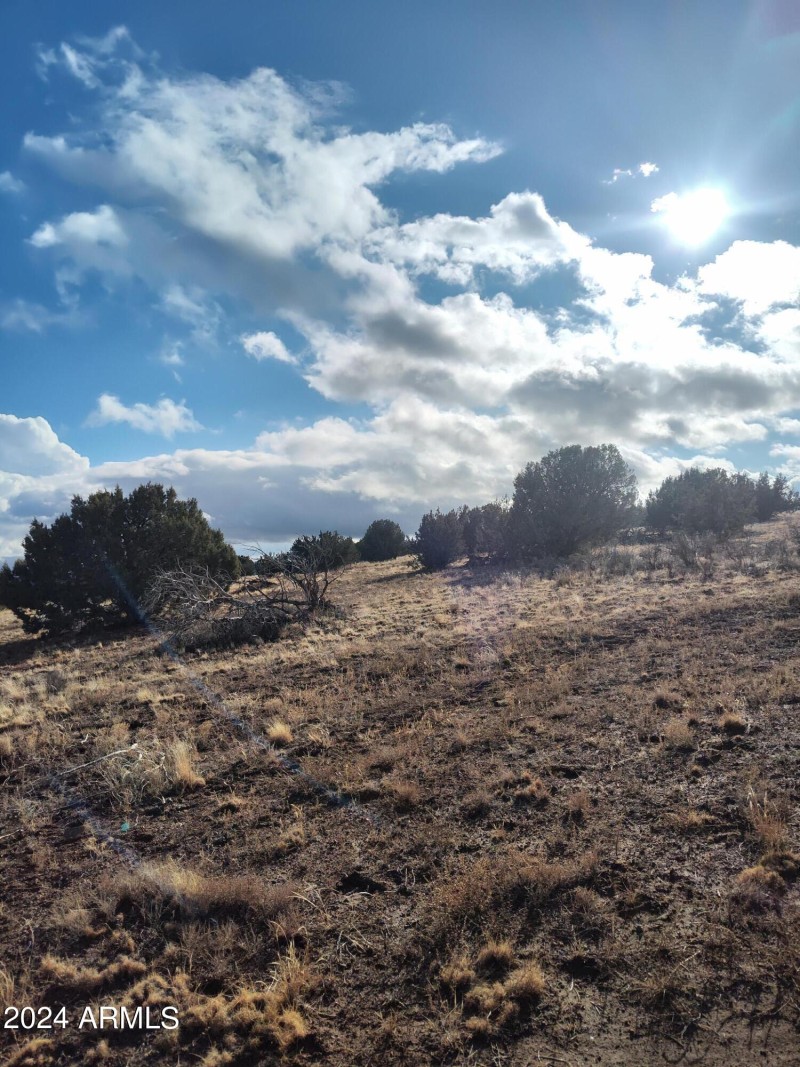 IMG_20240125_154021498_HDR